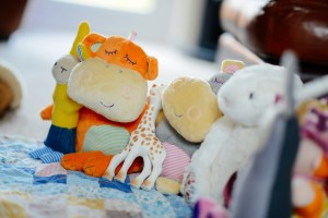 Selection Of Childrens Toy Teddies On Floor